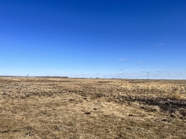 Photo of a brown, dead landscape in the early spring in the midwest. 